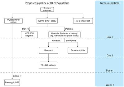 Clinical utility of target amplicon sequencing test for rapid diagnosis of drug-resistant Mycobacterium tuberculosis from respiratory specimens